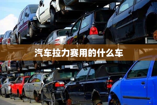 汽车拉力赛用的什么车