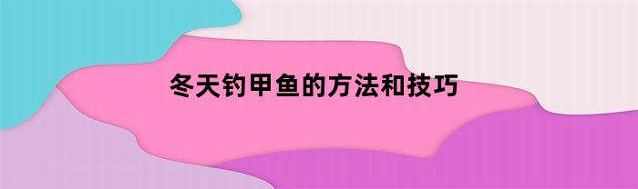 冬天钓甲鱼的方法和技巧