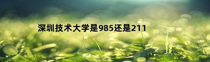 深圳技术大学是985还是211