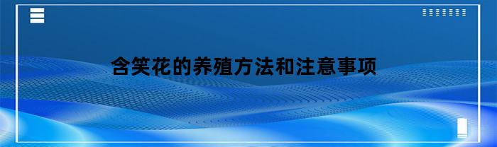 含笑花的养殖方法和注意事项