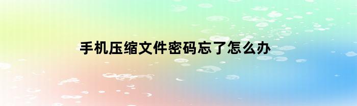 手机压缩文件密码忘了怎么办