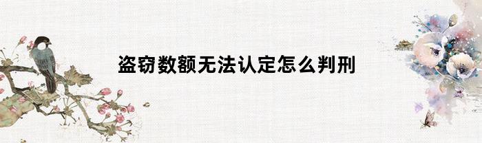 盗窃数额无法认定怎么判刑