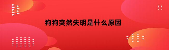 狗狗突然失明是什么原因