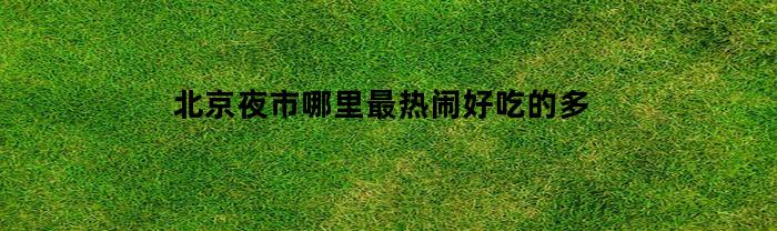 北京夜市哪里最热闹好吃的多