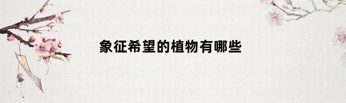 象征希望的植物有哪些