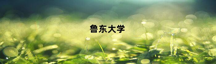 鲁东大学
