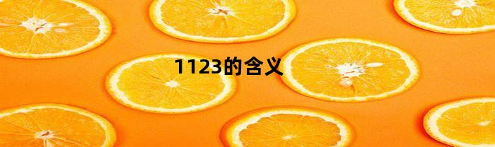 1123的含义