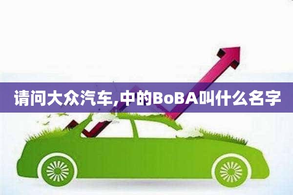 请问大众汽车,中的BoBA叫什么名字