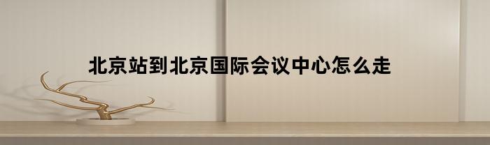 北京站到北京国际会议中心怎么走