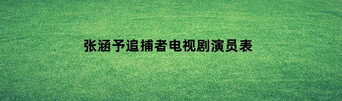 张涵予追捕者电视剧演员表