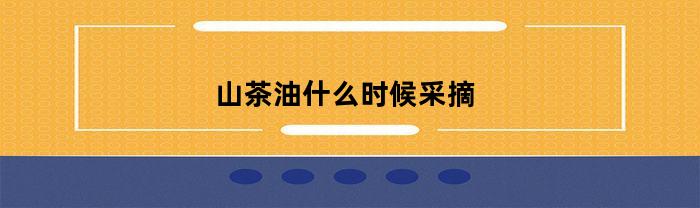 山茶油什么时候采摘