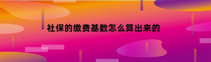 社保的缴费基数怎么算出来的