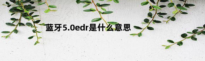 蓝牙5.0edr是什么意思