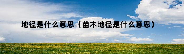 地径是什么意思（苗木地径是什么意思）