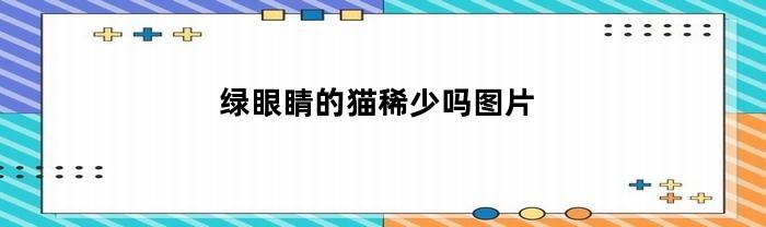 绿眼睛的猫稀少吗图片