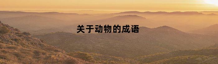 关于动物的成语
