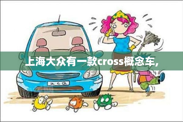 上海大众有一款cross概念车,