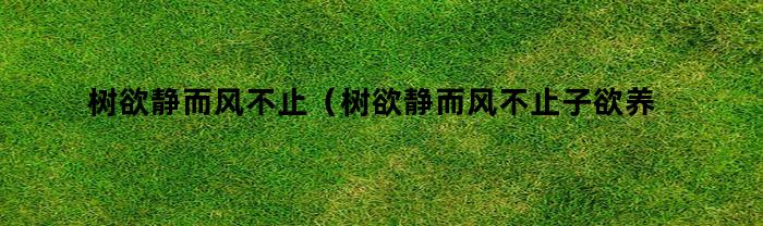 树欲静而风不止（树欲静而风不止子欲养而亲不待）