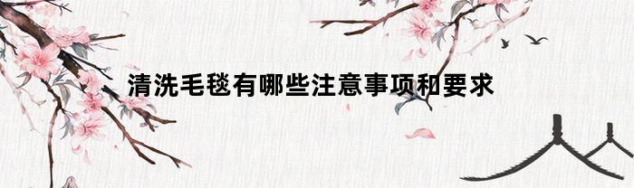 清洗毛毯有哪些注意事项和要求