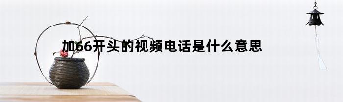 加66开头的视频电话是什么意思