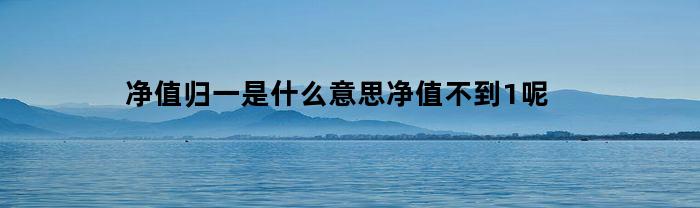 净值归一是什么意思净值不到1呢