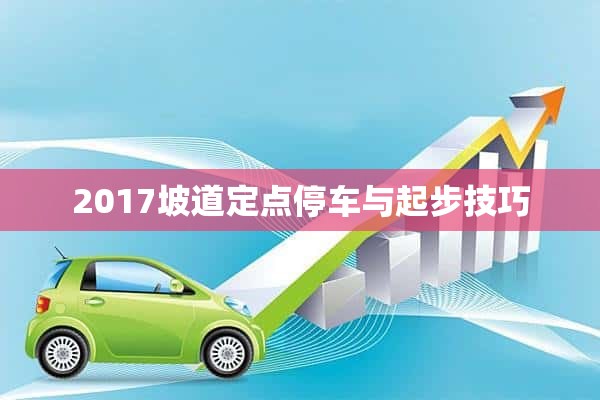 2017坡道定点停车与起步技巧