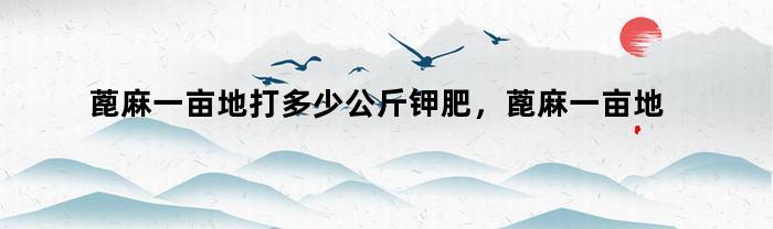 蓖麻一亩地打多少公斤钾肥，蓖麻一亩地打多少公斤黄油