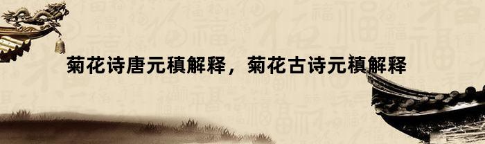 菊花诗唐元稹解释，菊花古诗元稹解释