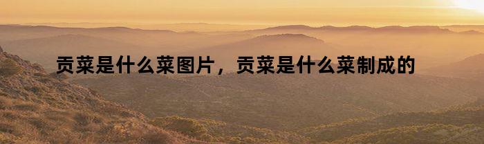 贡菜是什么菜图片，贡菜是什么菜制成的