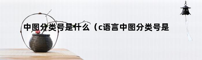中图分类号是什么(c语言中图分类号是什么)