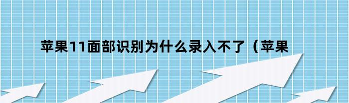 苹果11面部识别为什么录入不了（苹果11面部识别功能识别不了）