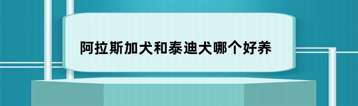 阿拉斯加犬和泰迪犬哪个好养