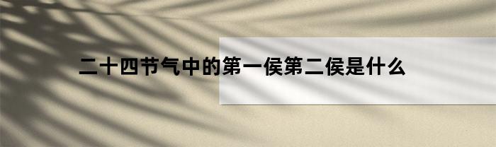 二十四节气中的第一候是立春，第二候是雨水。