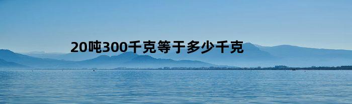 20吨300千克等于多少千克