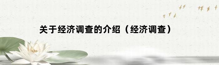 经济调查：深入剖析并解读当前经济形势的关键调查