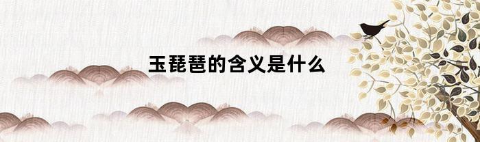 玉琵琶的含义是什么