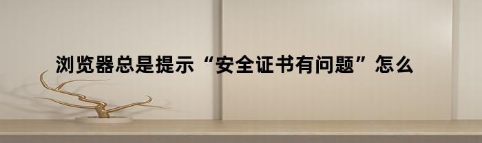 浏览器总是提示“安全证书有问题”怎么办（今日浏览器提示安全证书失效咋办）