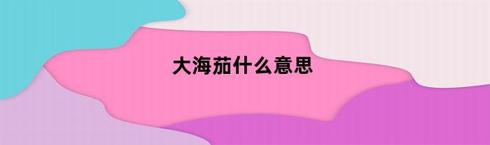 大海茄什么意思