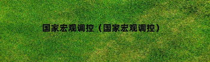 国家宏观调控（国家宏观调控）