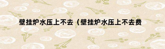 壁挂炉水压上不去（壁挂炉水压上不去费气吗）