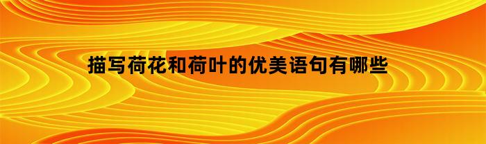 描写荷花和荷叶的优美语句有哪些