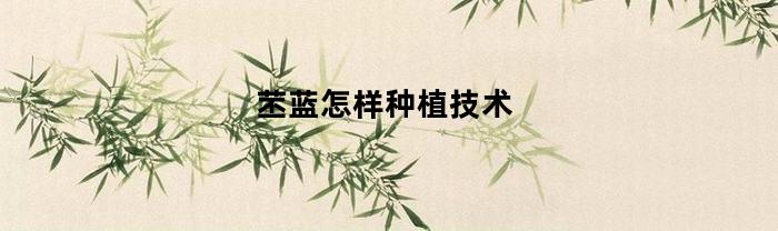 苤蓝怎样种植技术