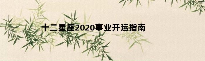 十二星座2020事业开运指南