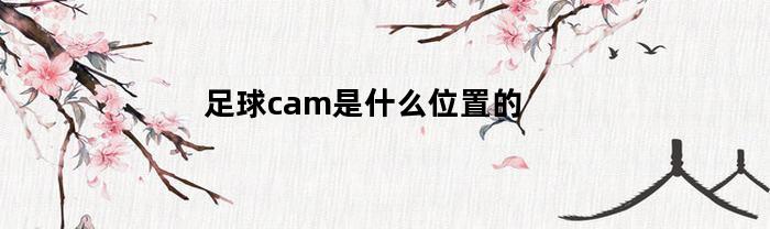 足球cam是什么位置的