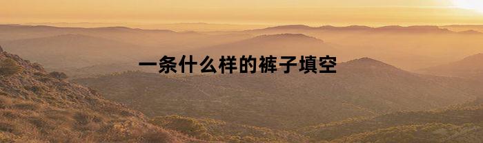 一条什么样的裤子填空