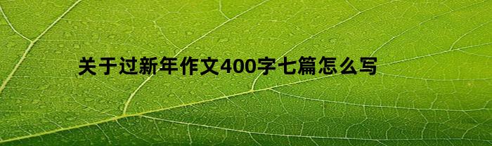 关于过新年作文400字七篇怎么写