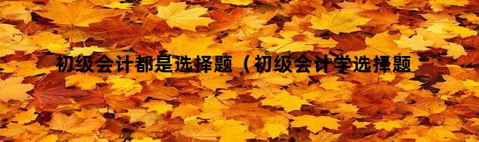 初级会计都是选择题(初级会计学选择题)