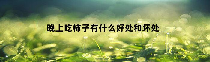 晚上吃柿子有什么好处和坏处