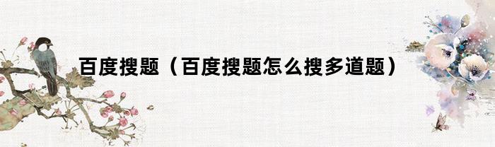 百度搜题（百度搜题怎么搜多道题）