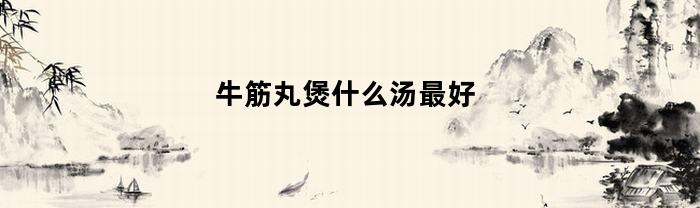 牛筋丸煲什么汤最好